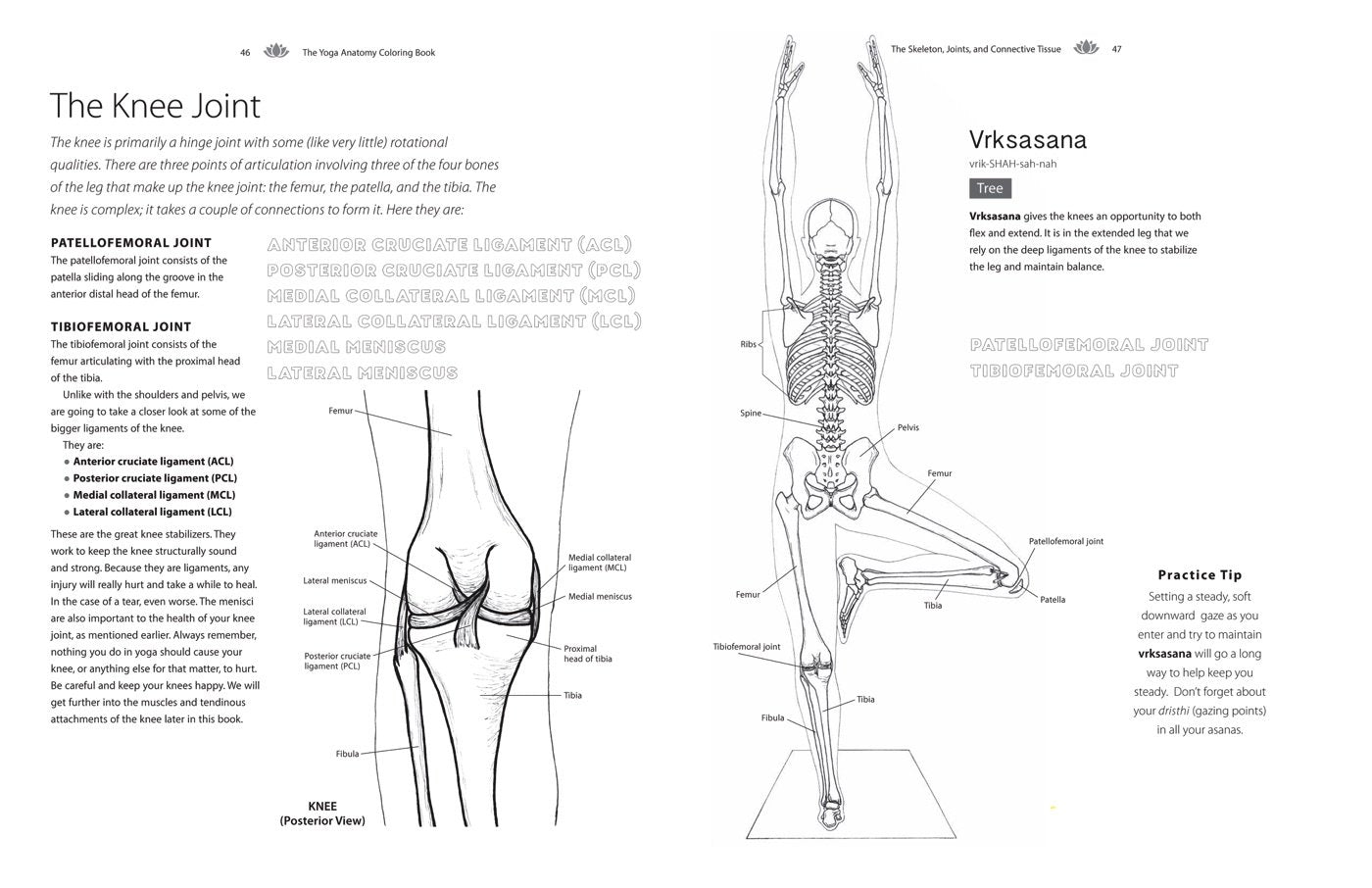 Yoga Anatomy Coloring Book: A Visual Guide to Form, Function, and Movement - An Educational Anatomy Coloring Book for Medical Students, Yoga Enthusiasts, Teachers & Adults (Volume 1)